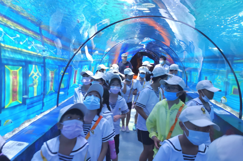 五天四晚,跟着都市快报狮子夏令营,玩宁波