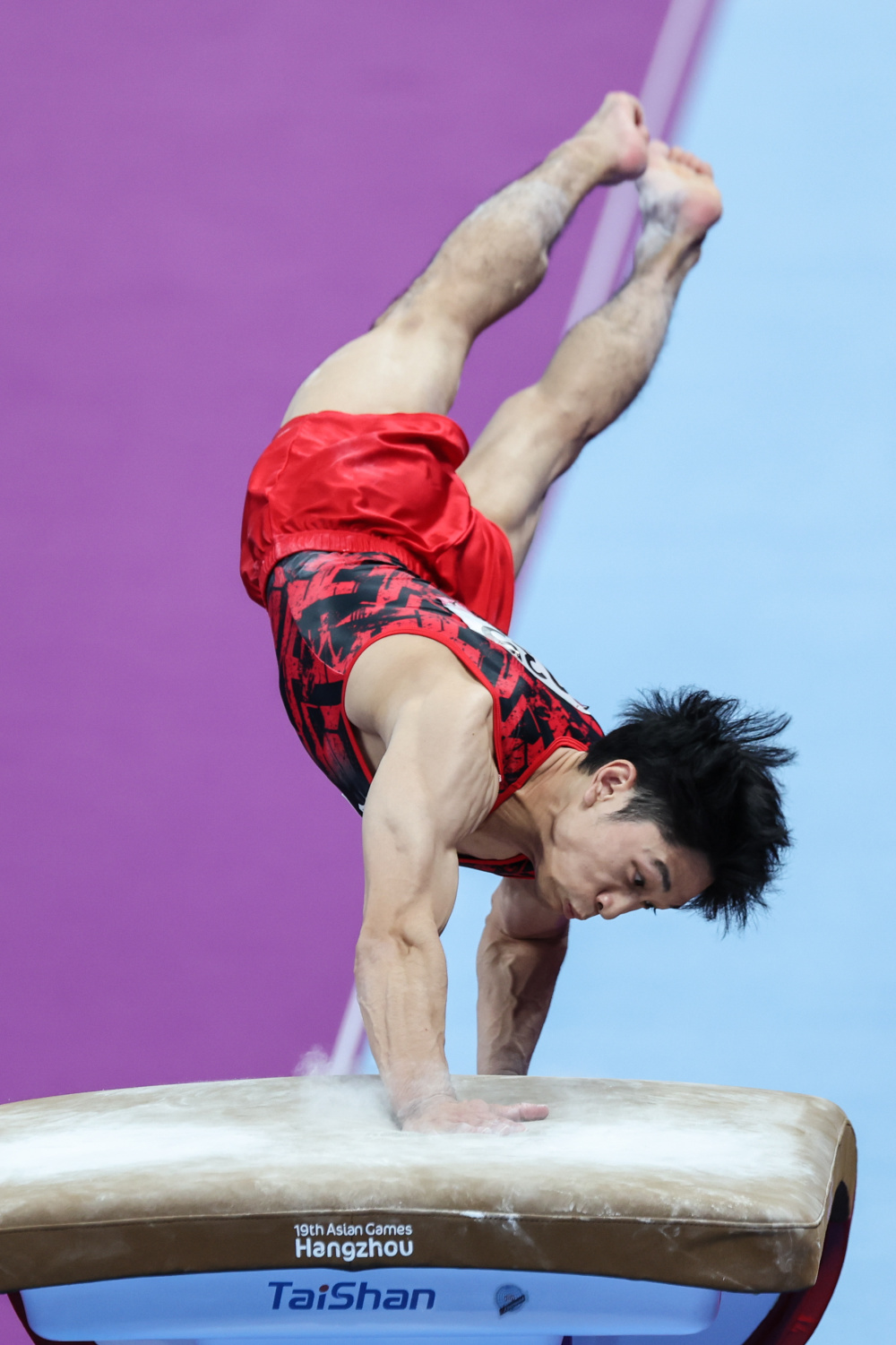 竞技体操男子跳马决赛赛况