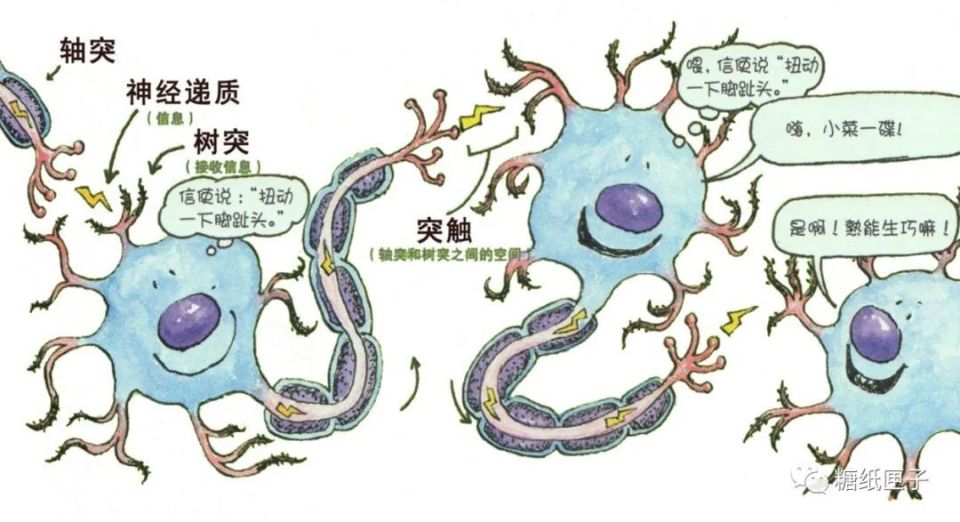 我用4张思维导图,成功帮女儿学会深度阅读!_腾讯新闻