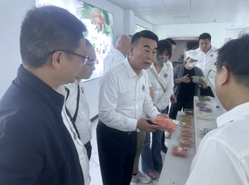 在上海丰生农业公司,大连考察团在公司销售经理张琪的介绍下详细了解