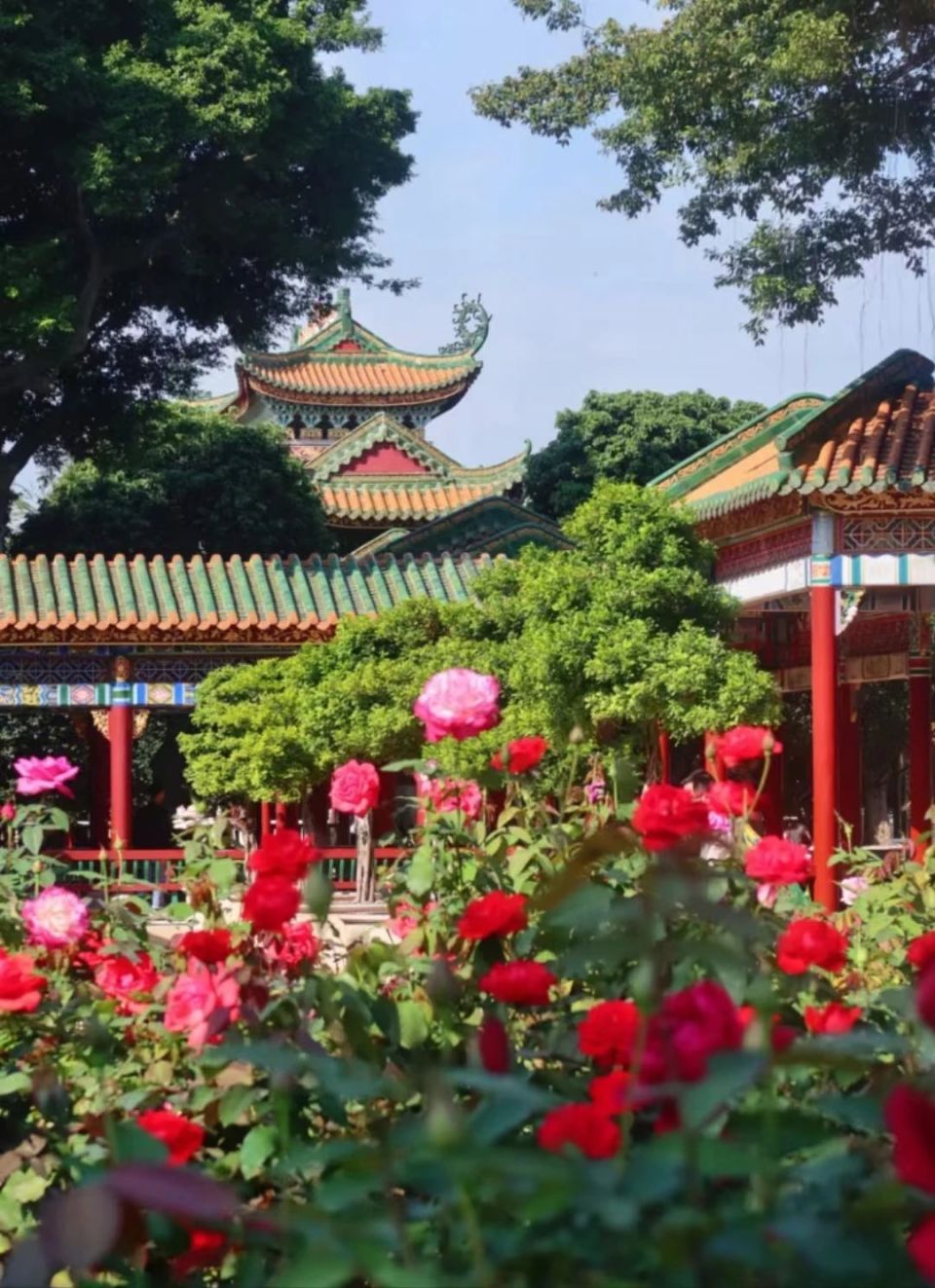 孙轶英编辑 | 曾柔来源 | 番禺天河城,宝墨园南粤苑,岭南印象园,小