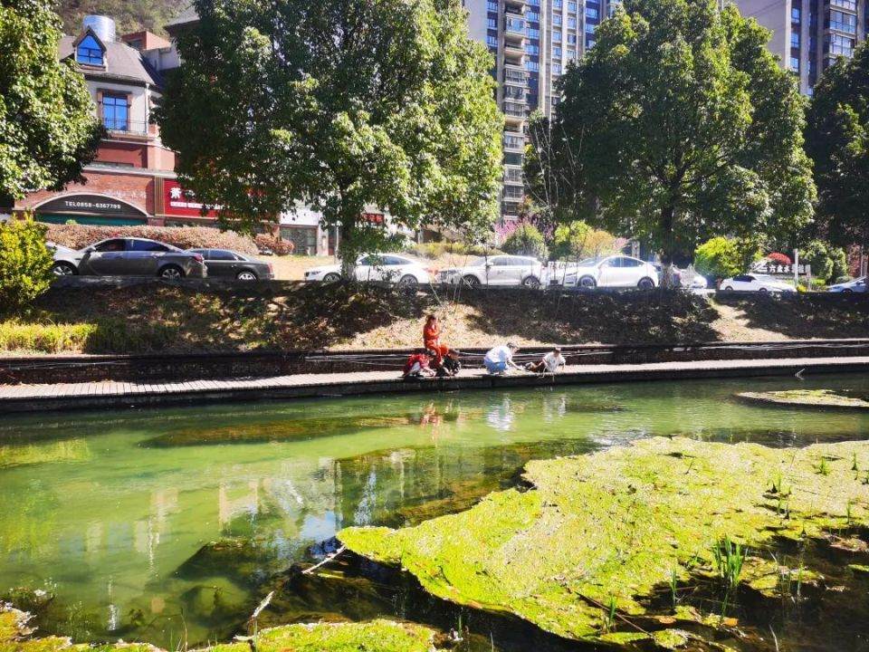 7公顷的湿地,由龙贵地水库,窑上水库,水城河源头段,明湖村湿地及明湖