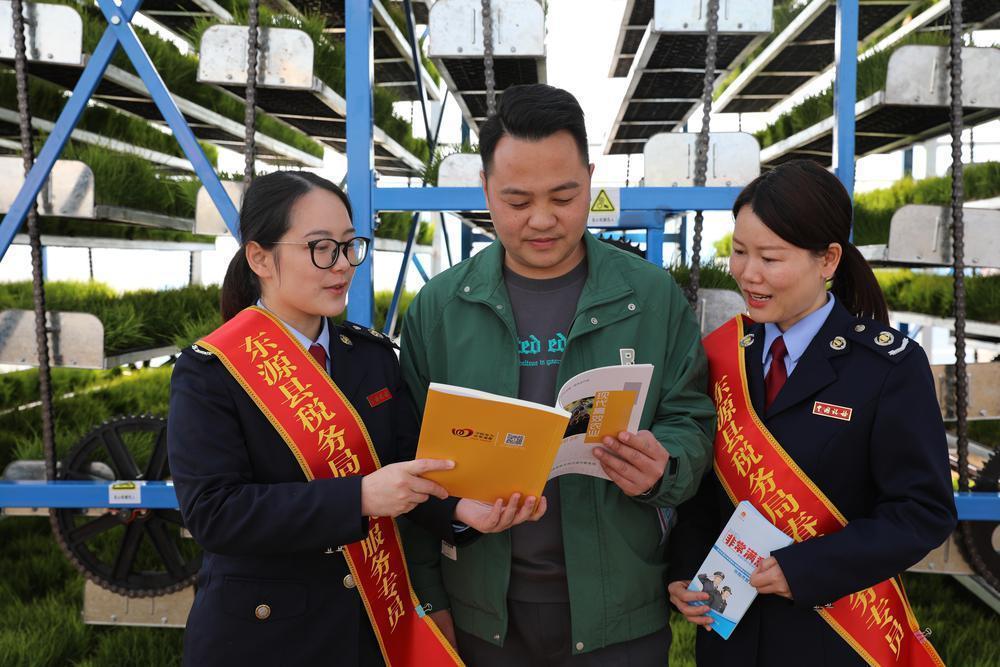 河源税惠春风助春耕航天水稻底气足