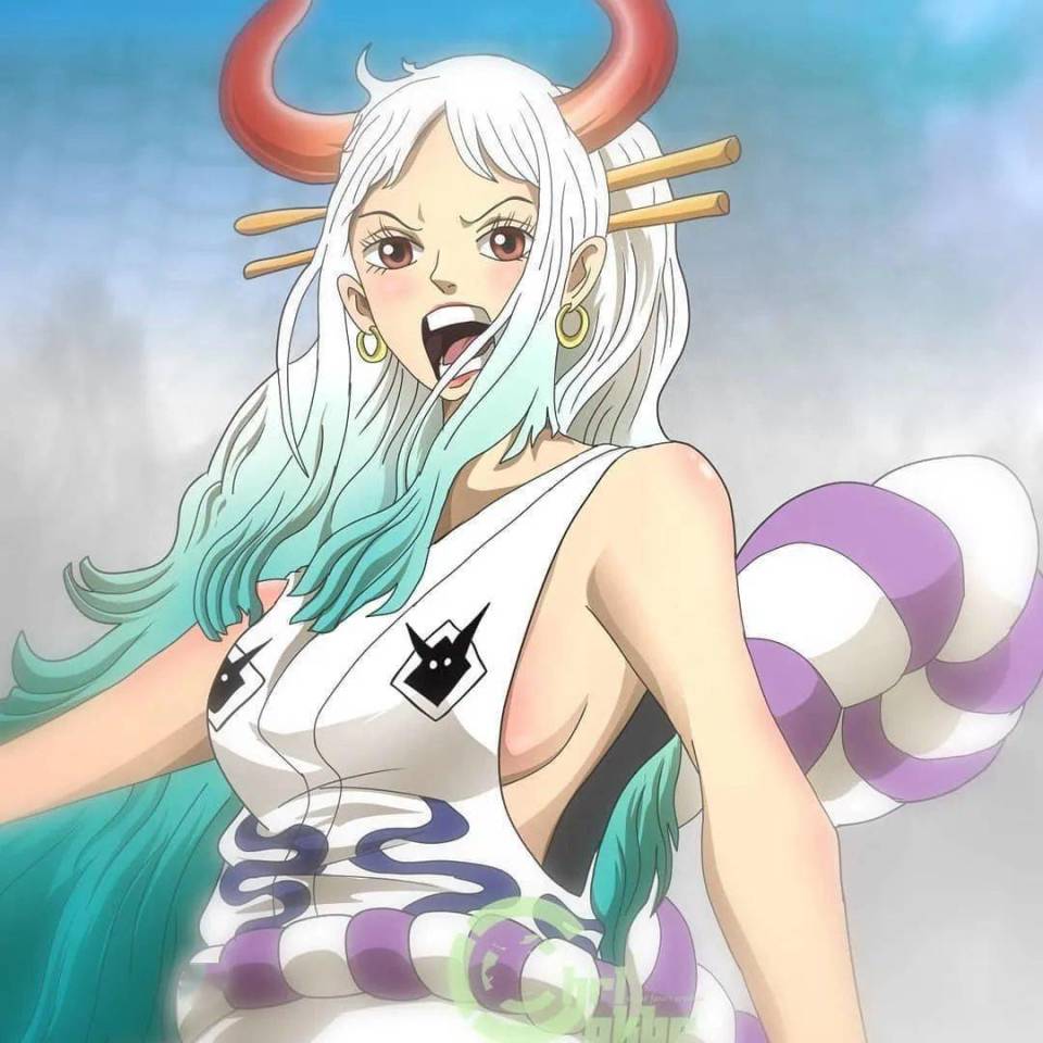 海贼王1107:抱歉,波妮不可能是草帽团伙伴,尾田早安排好第十人_腾讯