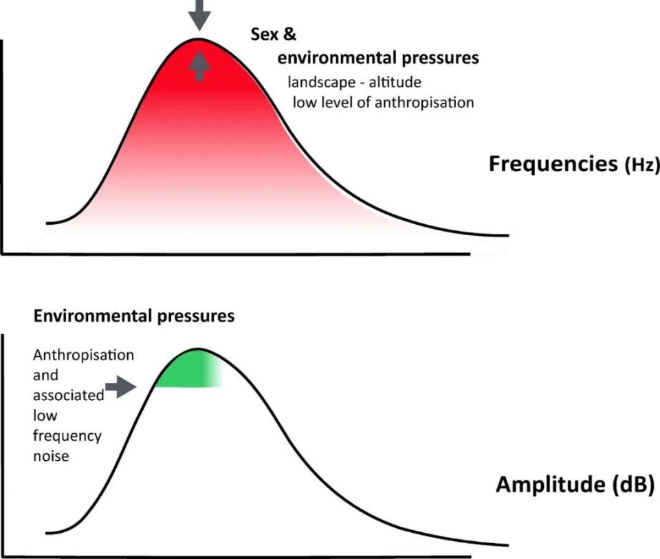 心电图机器怎么看追问weekly ｜ 过去一周，脑科学领域有哪些新发现？_https://www.jmylbn.com_新闻资讯_第26张