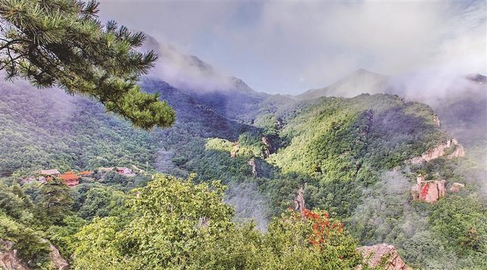 摄人山人海五月的岚州大地处处生机勃发,风景怡人,五月的白龙山正值
