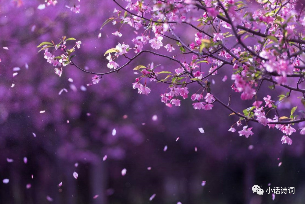 李煜最意难平的一首词,短短7句道尽世事无常,最后一句让人破大防