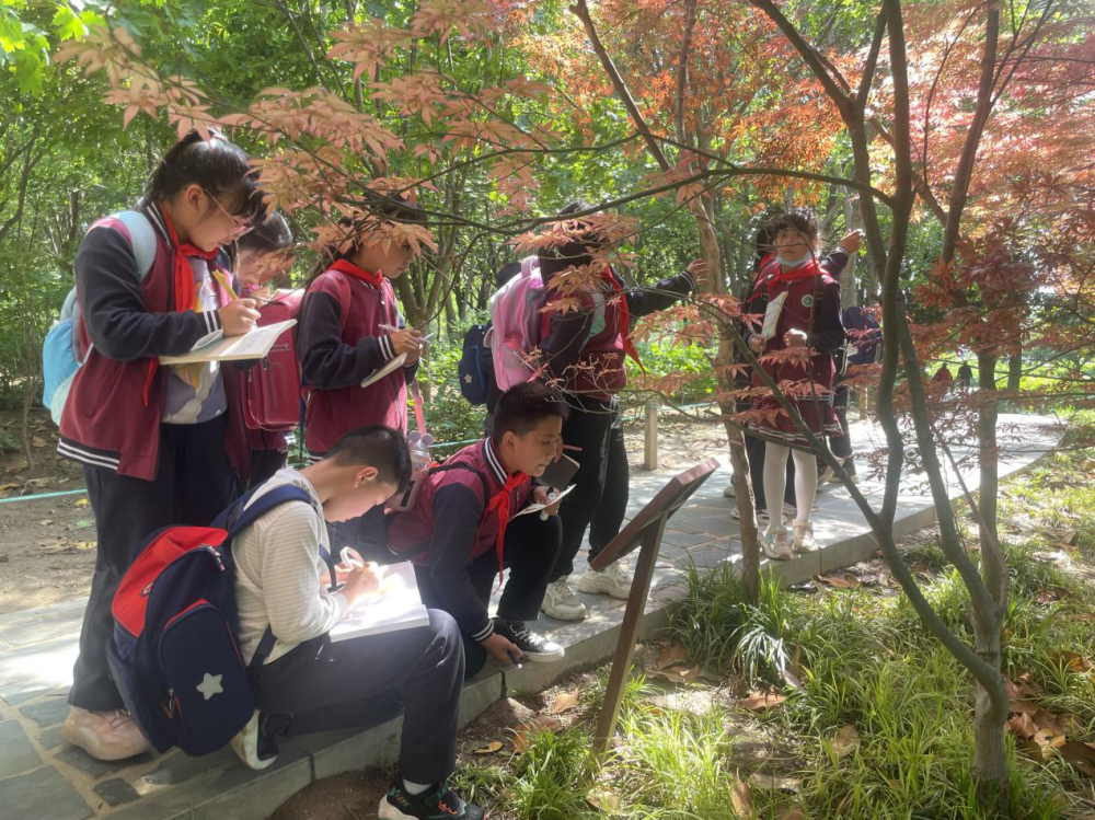 踏青"趣"寻春 春游植物园 高新区长椿路小学三年级研学实践活动_腾讯