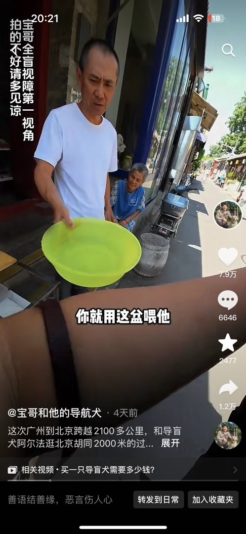 网友牵导盲犬游胡同视频引热议,北京三方面无障碍建设见真章