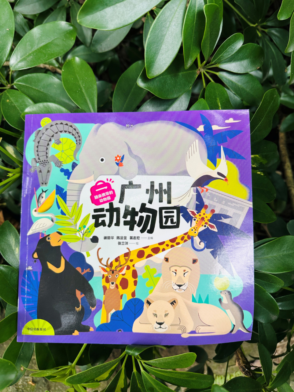 图片