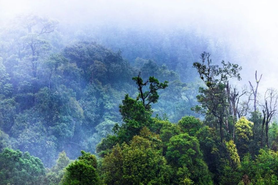 雾里的腾冲五合乡小地方