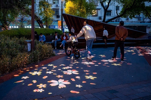 大学路上新春季限定夜景灯光最美的樱花花路等你来踏