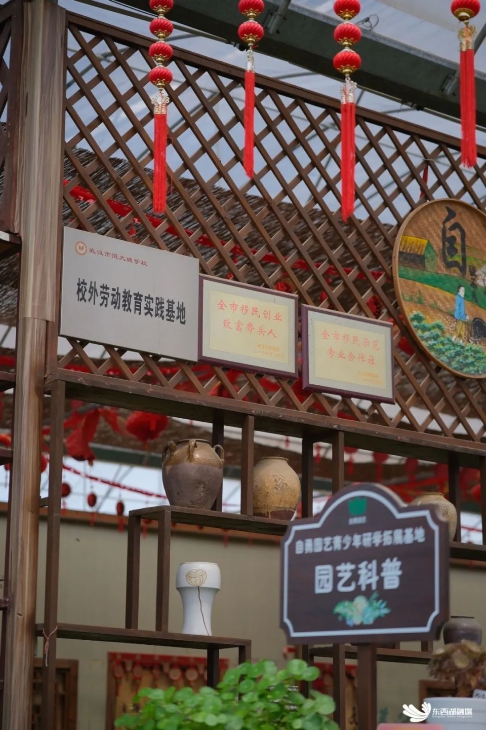 东西湖这个地方越来越火了