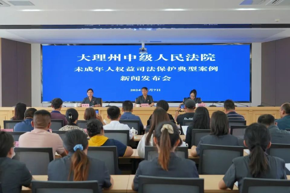 大理中院发布未成年人权益司法保护典型案例