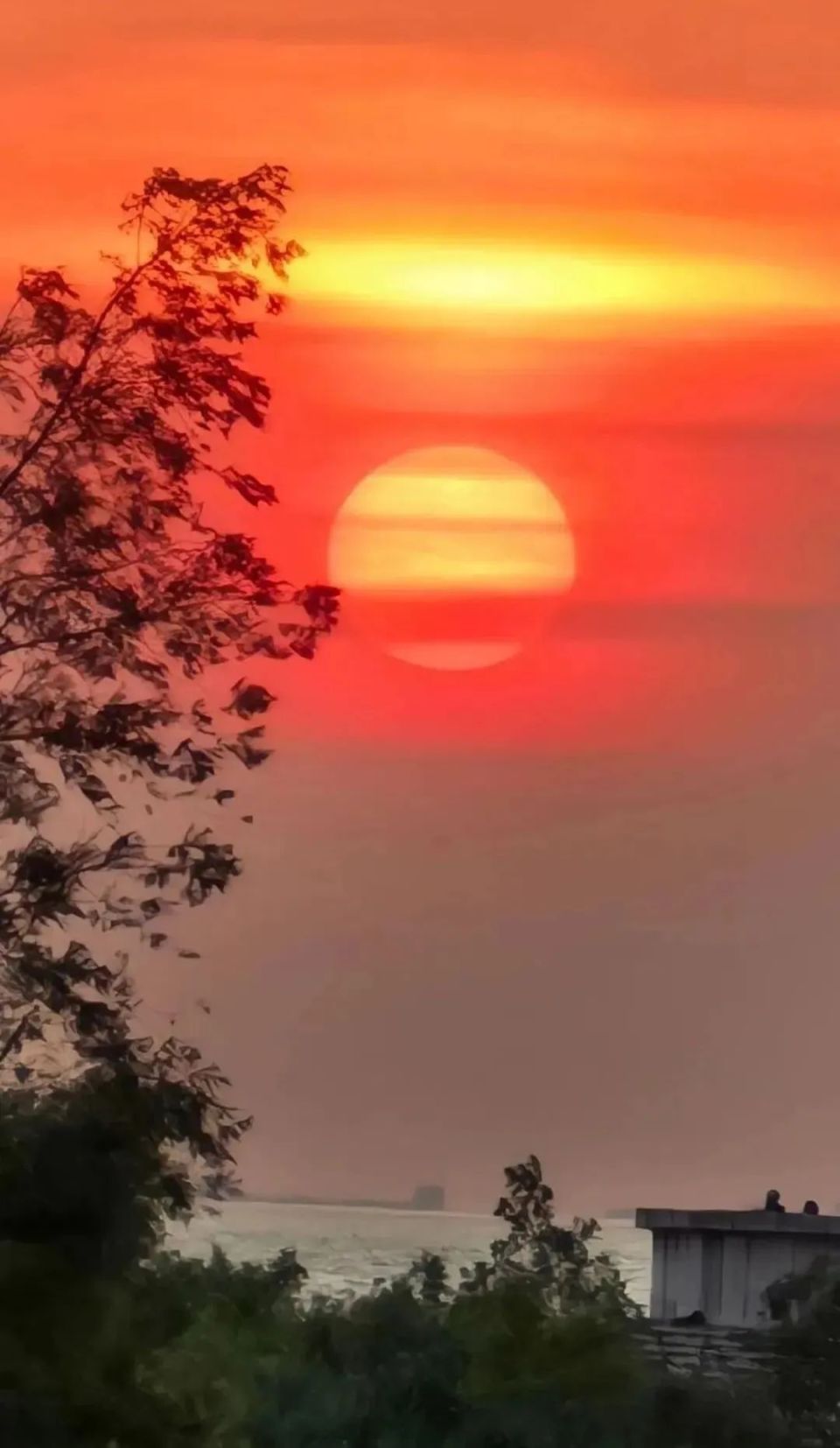 崇明:送你落日与晚霞!