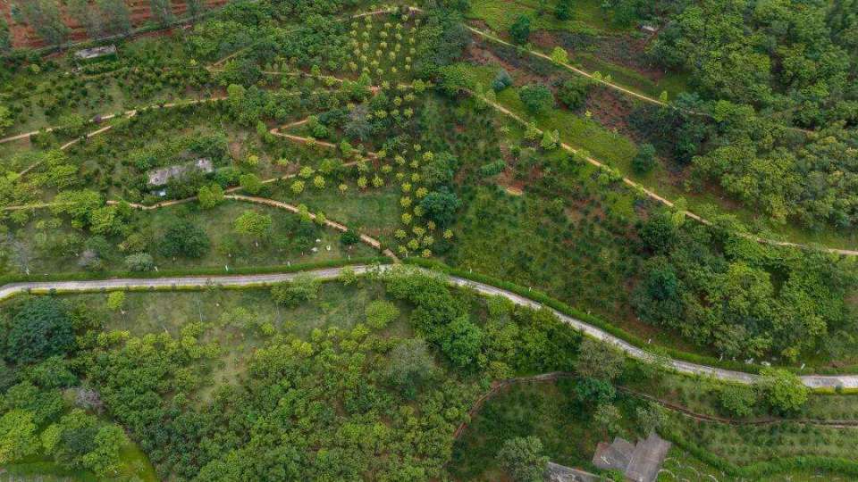 这座水电站日最大发电量可供1.48亿人一天生活用电