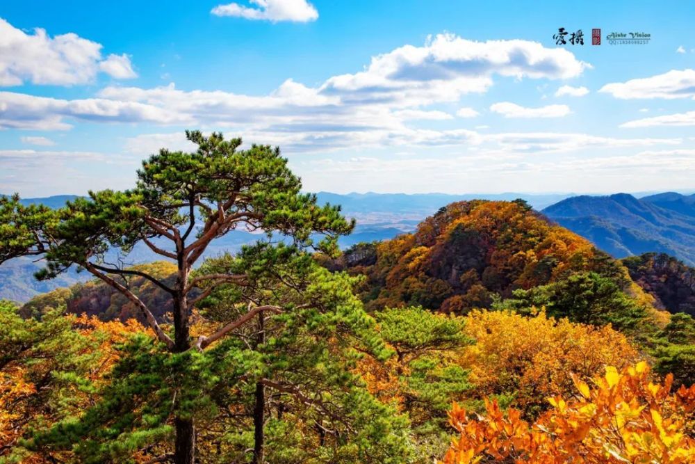 鸡冠山景区电话图片