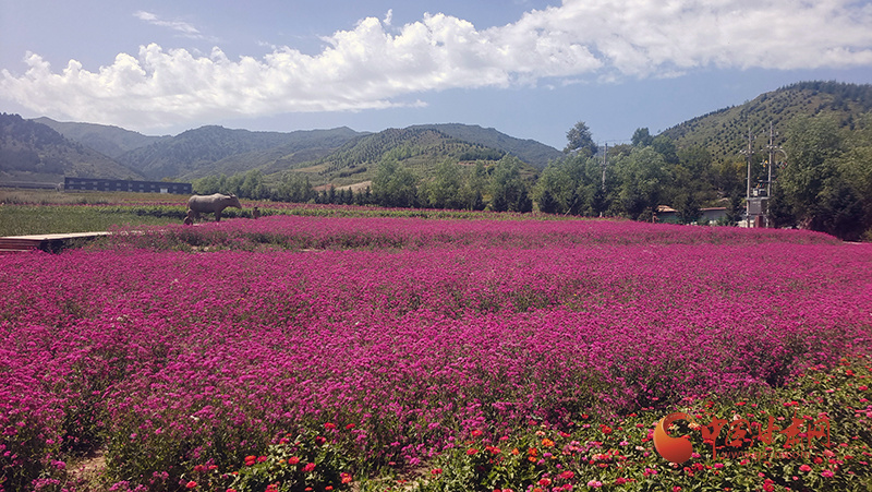 【高质量发展看甘肃】定西市元古堆村:农旅融合打造家门口的"诗和远方