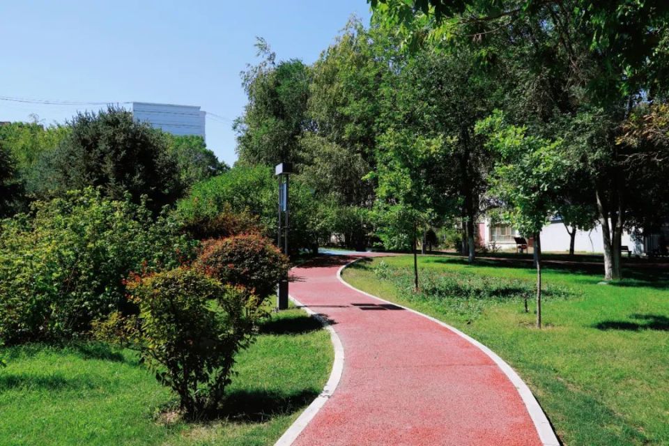 奎屯:"口袋公园"装满百姓"微幸福"