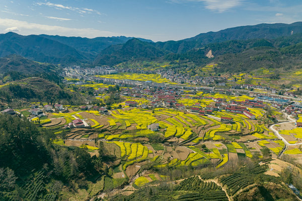 镇巴县人民政府主办的2024最美油菜花海汉中旅游文化节镇巴分会场活动