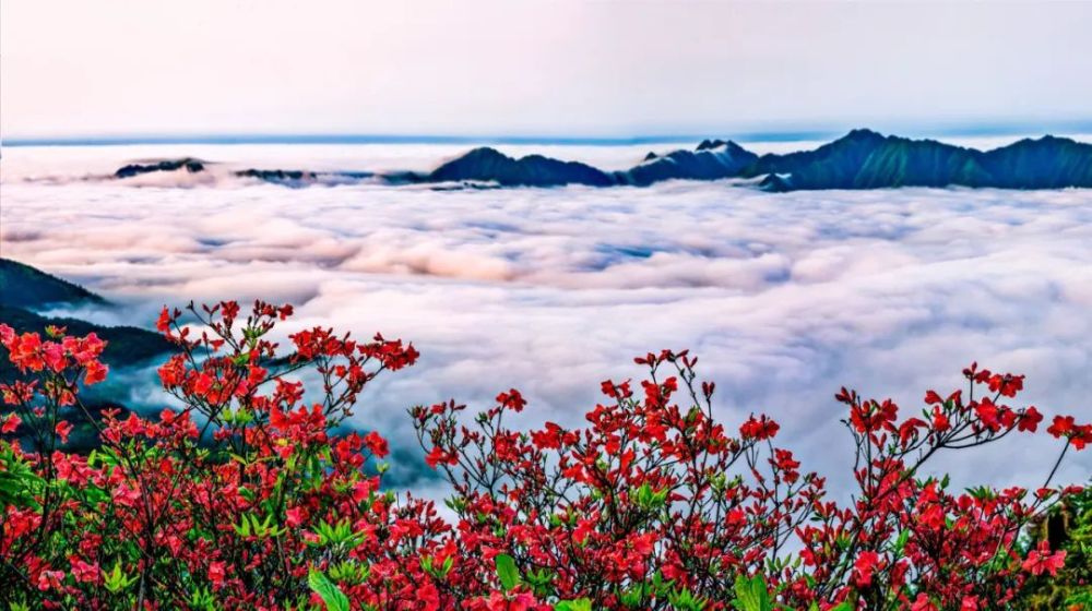 【气候康养示范基地第一站】湖南阳明山国家森林公园_腾讯新闻