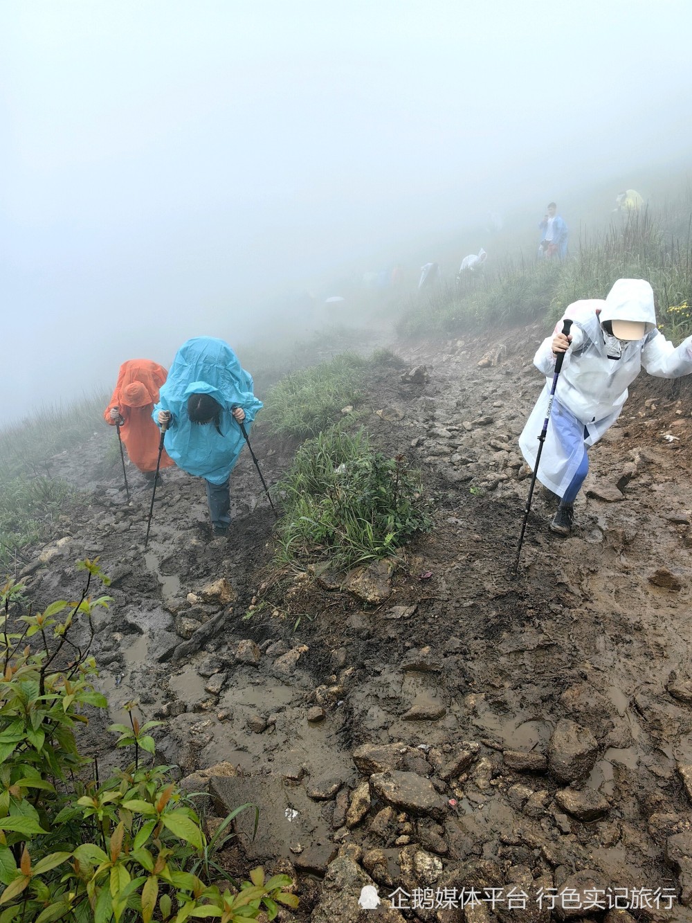 徒步萍乡武功山,在大雨中露营,躲帐篷里听着雨声酣然入睡