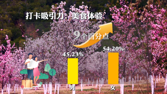 中国人最想打卡的10个地方，出炉！可太会玩儿了(中国十大打卡圣地有哪些城市)