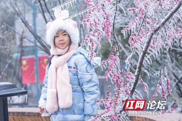 冷是真冷，美也是真美！冻雨后的长沙，有种被时光封印了的美_腾讯新闻