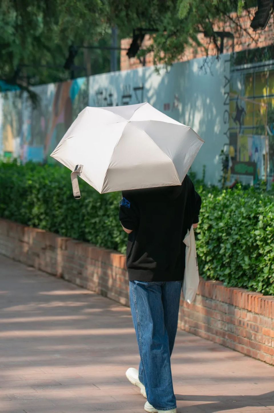 这把伞真的太卷了!