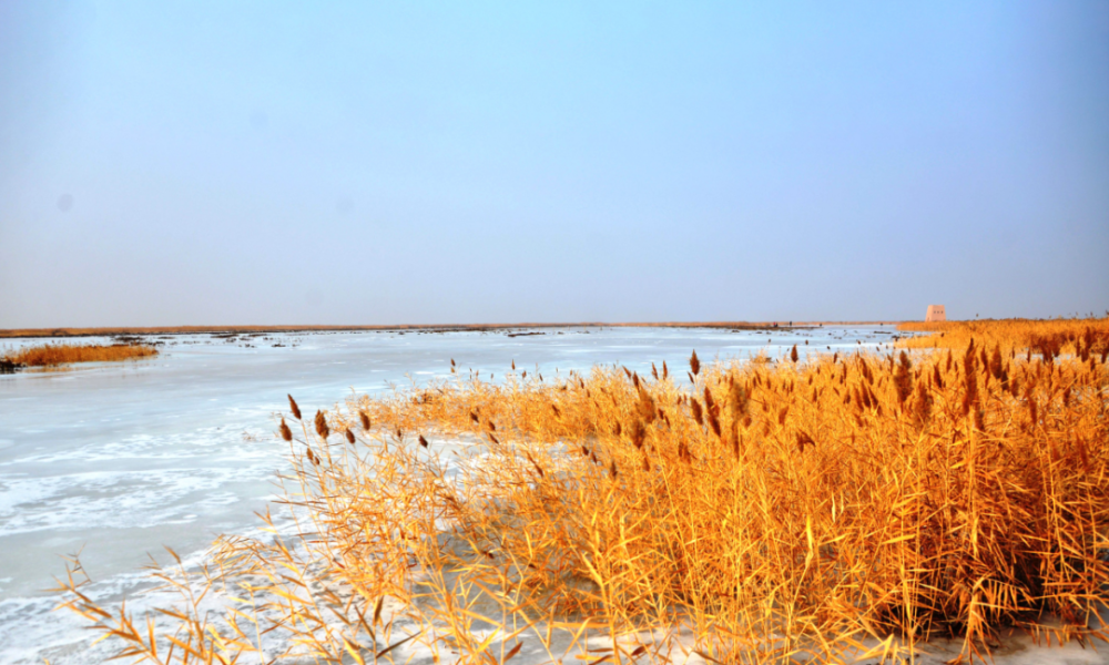 中国旅游日 | 走进艾丁湖,俯听大地之心
