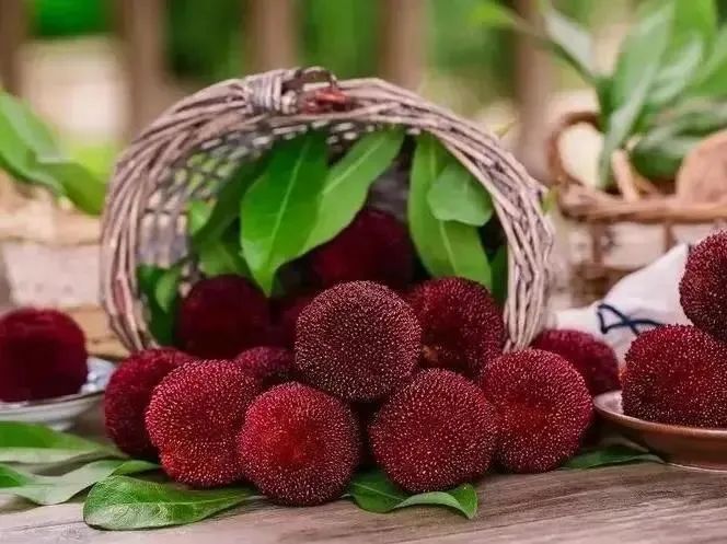 浙江杨梅产地不少,但台州仙居杨梅有自己的特色."大得像乒乓球!