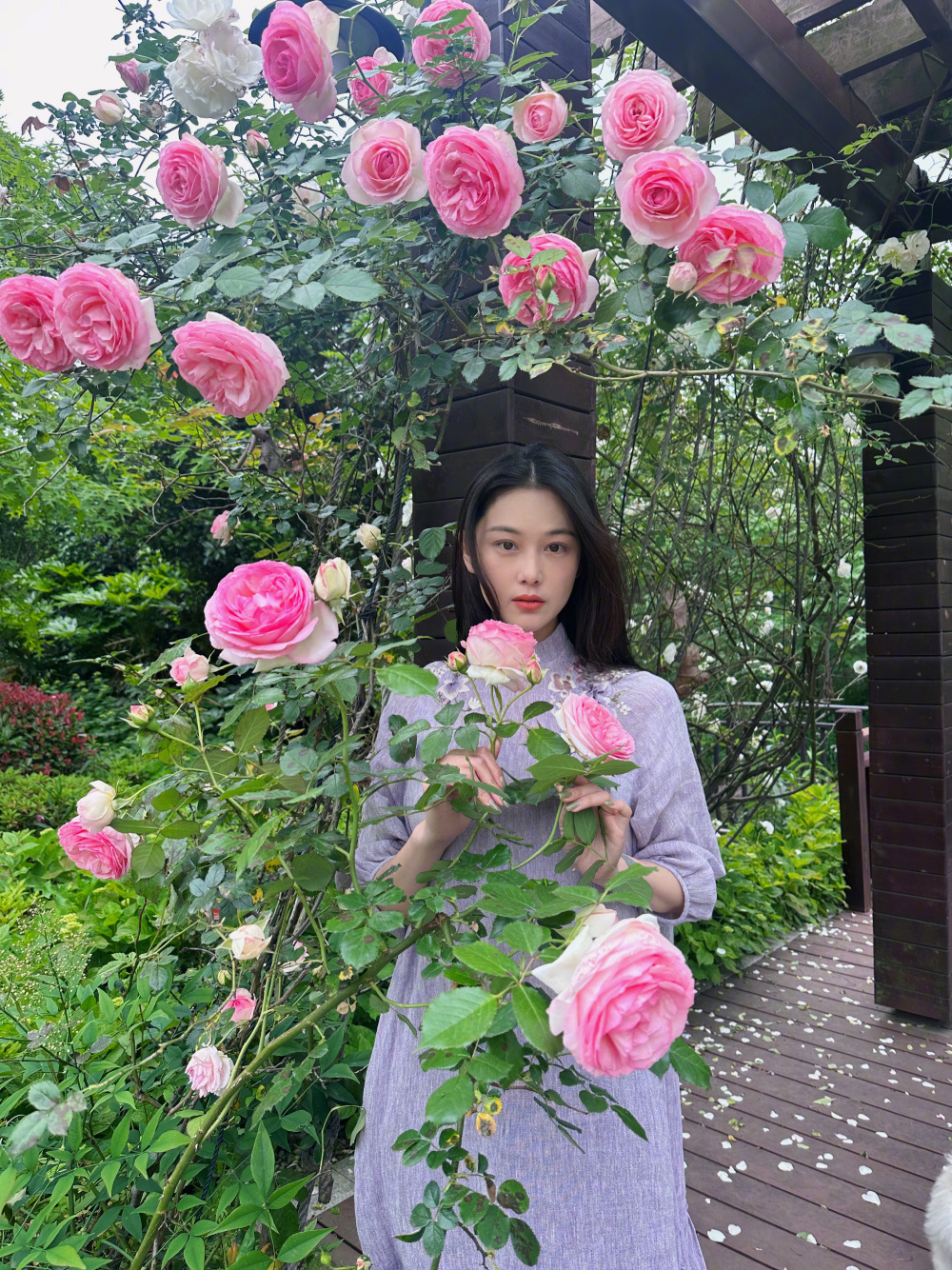 37岁张馨予晒自家花园,穿古风长裙美如花,网友:她把日子过成诗