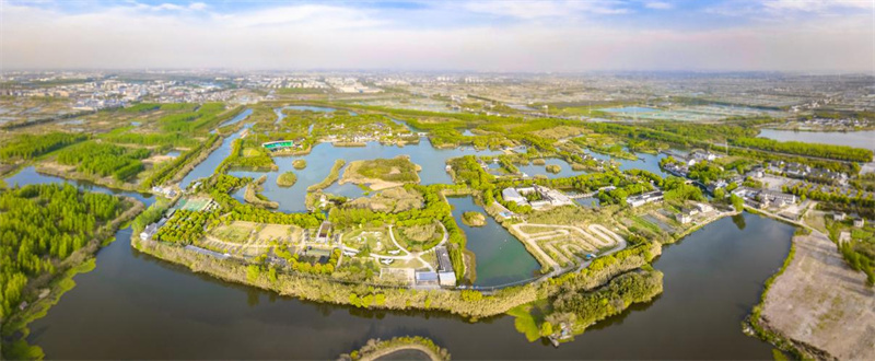 （新华时评）高质量推进国家水网建设合肥工业大学怎么样2023已更新(今日/头条)
