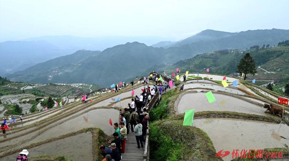 图为山背梯田插秧现场(全媒体记者 杨博媛摄)5月29日上午9时,溆浦县葛