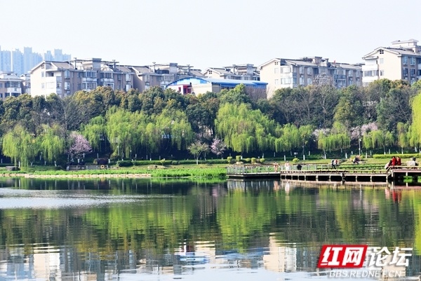 岳阳王家河简介图片