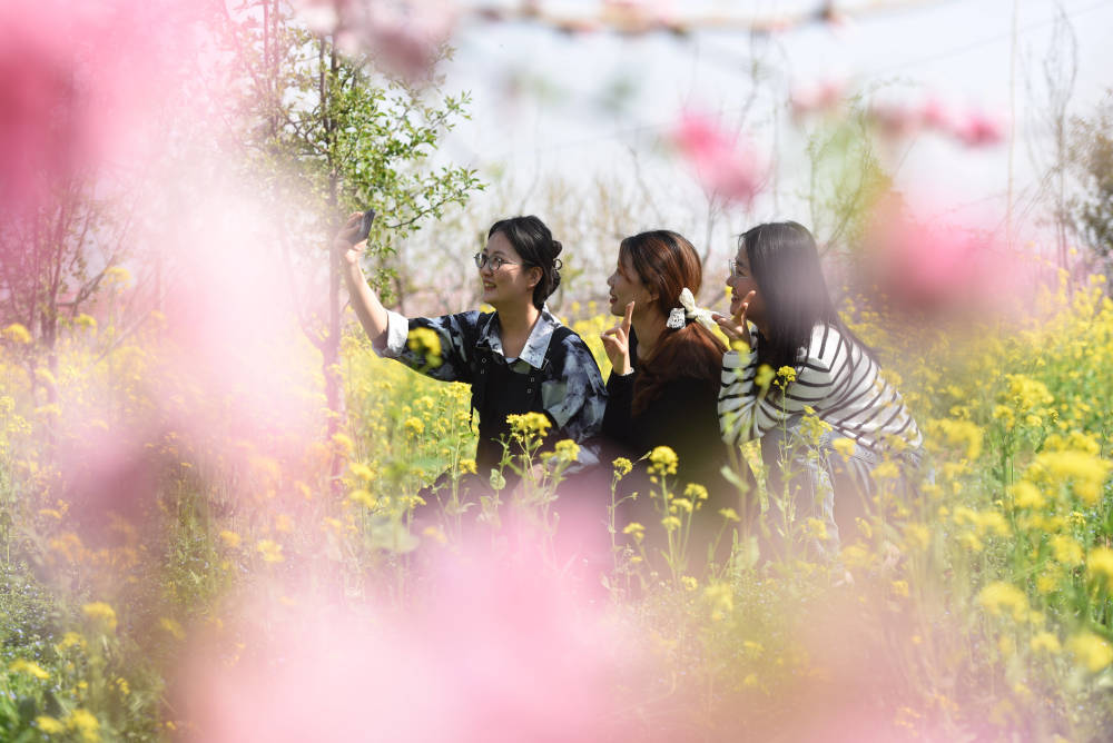 齐鲁网·闪电新闻4月1日讯仲春时节,山东省临沂市郯城县马头镇"农家