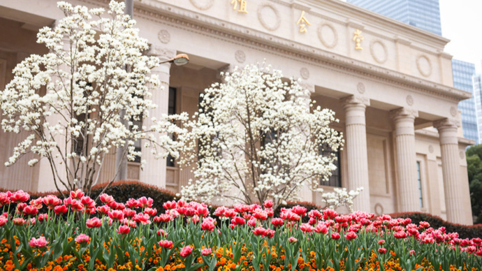 【海上记忆】春到江南花自开_腾讯新闻