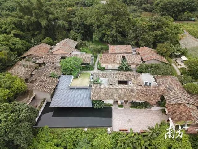 惠州这个百年古村不一般!《南方日报》今日头版聚焦报道