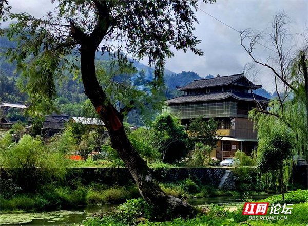 来湖南新化奉家镇下团村遇见神秘"古桃花源"_腾讯新闻