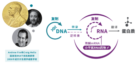 EV是什么针第一批90后已经高血脂！打一针管半年的降脂新方法来啦_https://www.jmylbn.com_新闻资讯_第8张