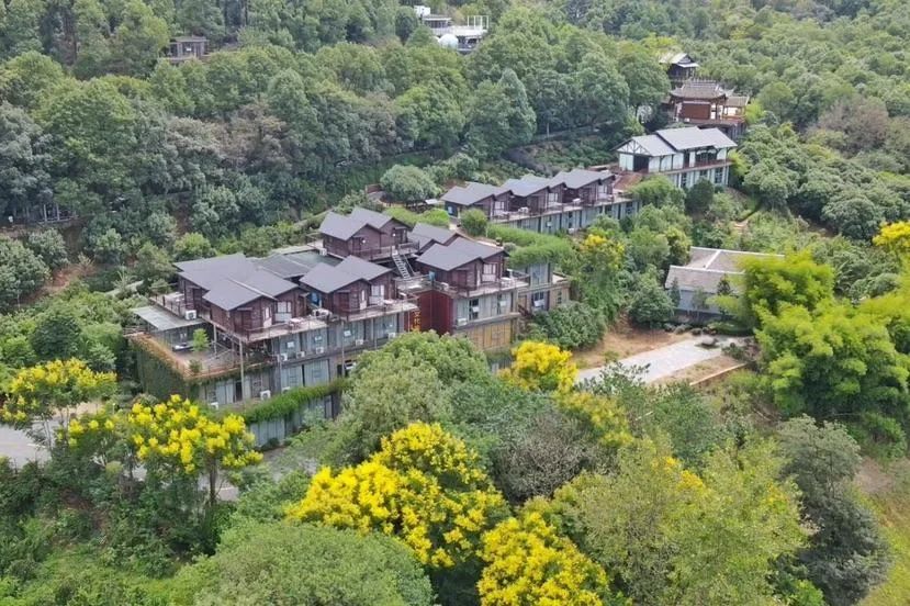 高考学子凭本人准考证,免景区门票;暑期优惠措施:澧县城头山旅游景区