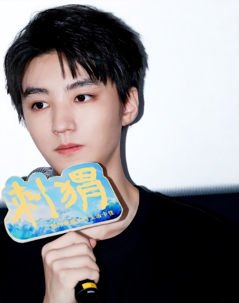 《刺猬》首映礼给了全红婵王俊凯一次合影的机会!结果怎么呢