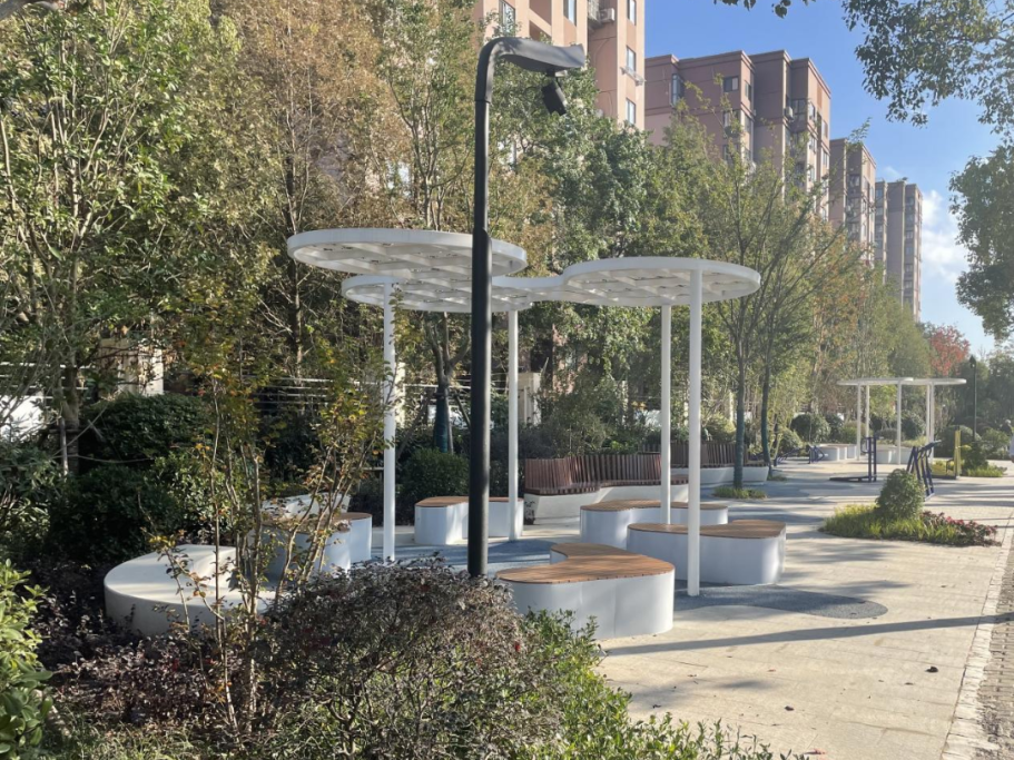 "美丽上海"从漫步开始 | 惠南镇民乐大居,陆家嘴水环(张家浜两岸)