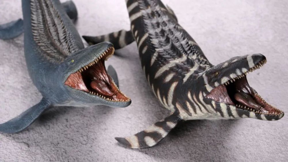 本心楠改沧龙2.0入手_腾讯新闻