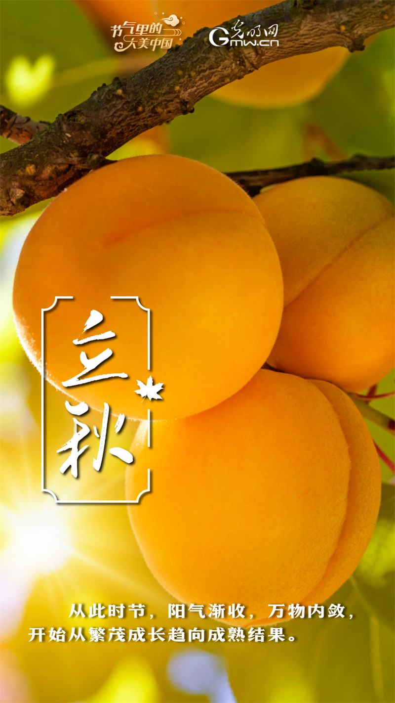 【节气里的大美中国】节气plog丨立秋:清凉可盼 丰收可待