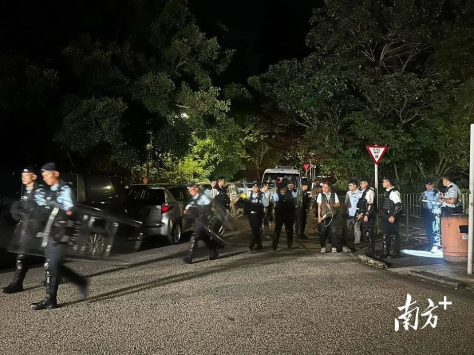 香港一女子疑遭狗袭击身亡，警方：已捕获三只流浪狗_腾讯新闻