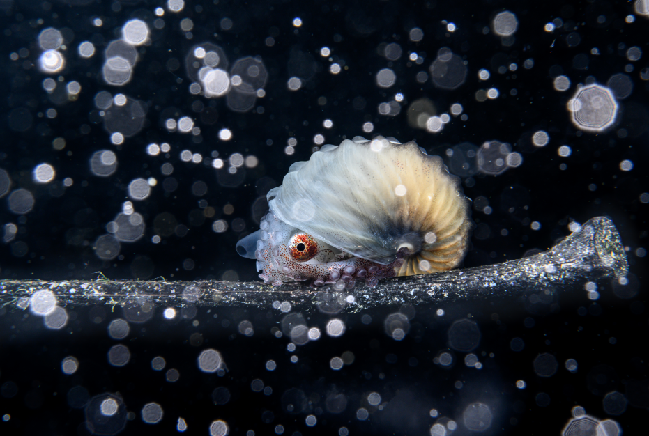 极致发现——用一场展览讲述科学,艺术与探索_腾讯新闻