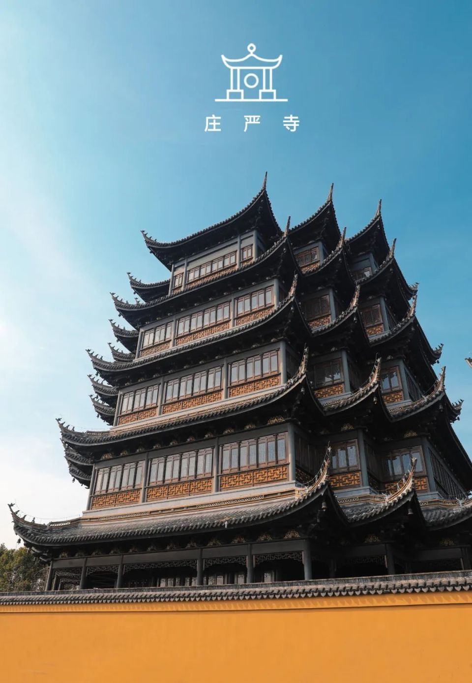 点破银花玉雪香青浦这里的花开的正好