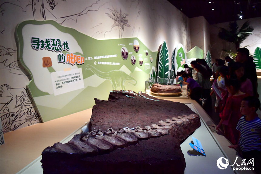 庆"六一" 江西广昌恐龙"走进"南昌