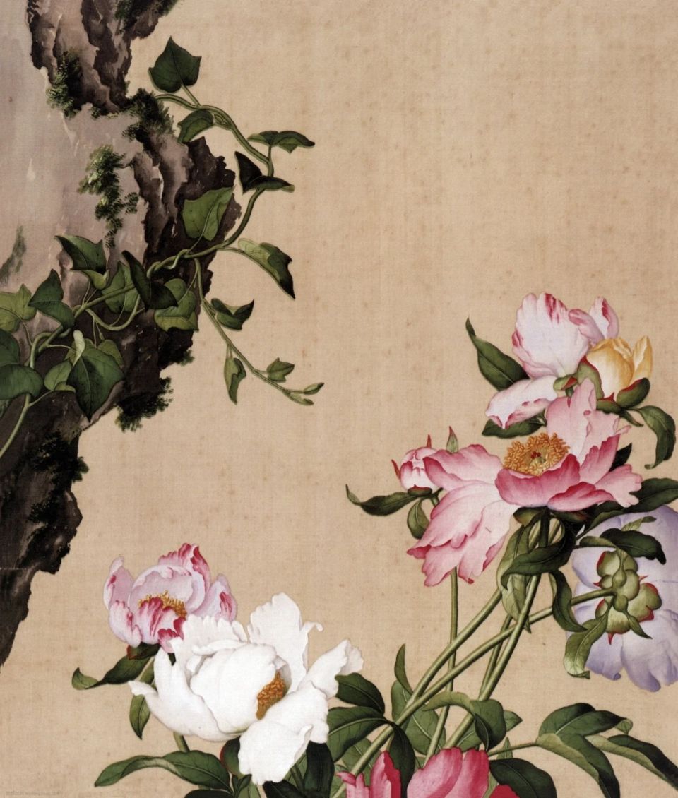 台北故宫 · 郎世宁「仙萼长春图册」_腾讯新闻